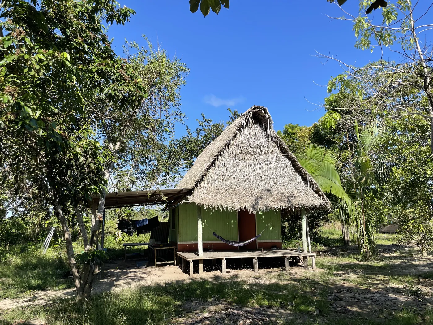 A stilt hut with a thatched roof, a hammock slung under the eaves, trees all around