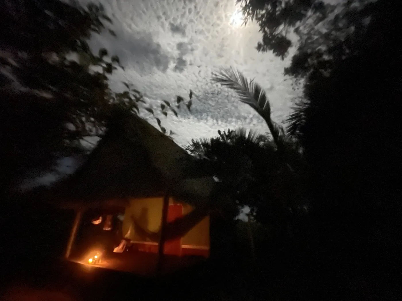 夜。雲のあいだに月が出ている。木立の下の小屋の中だけが、小さな灯りでオレンジ色に見えている