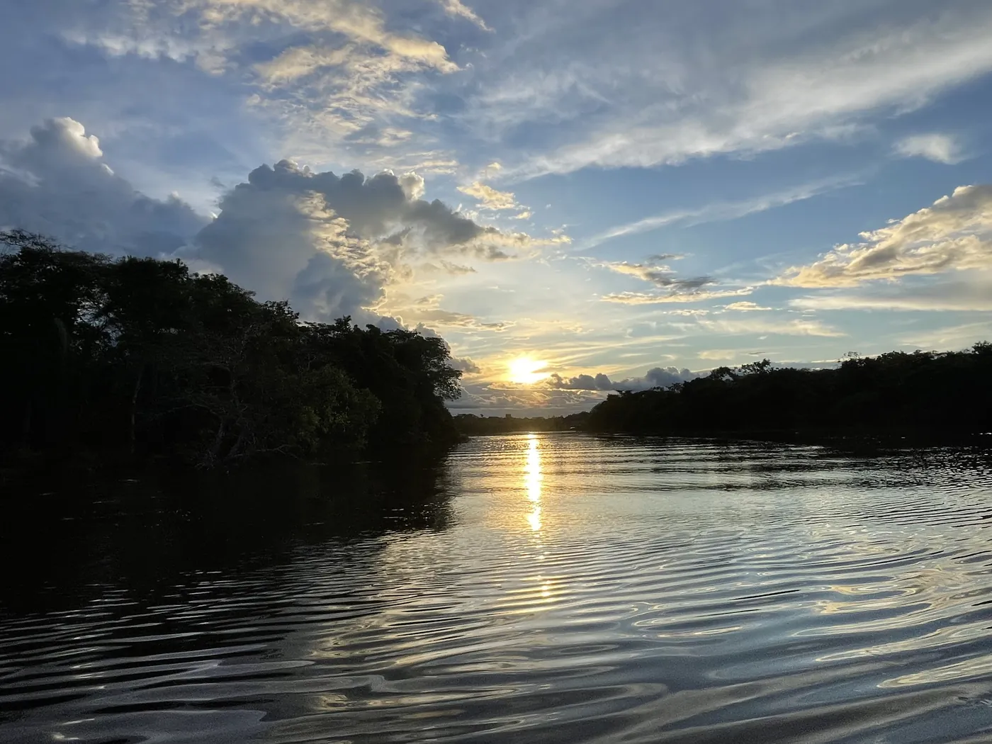 夕暮れの川。両岸をジャングルが縁取り、正面に沈む太陽の光が水面に長く映っている